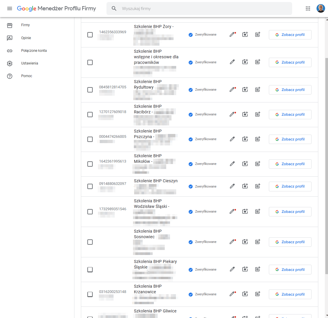 Przykład założenia kilkudziesięciu wizytówek Google Maps